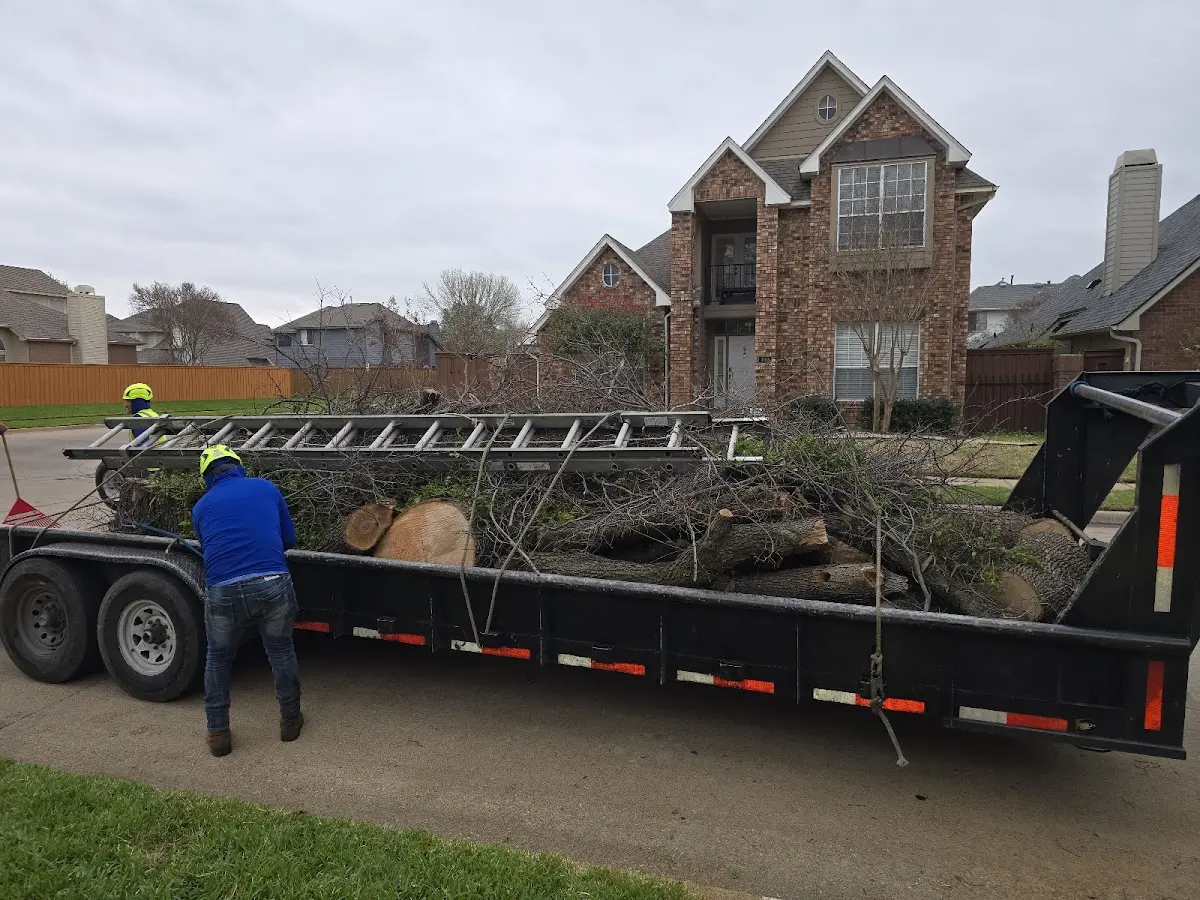 Expert Lot Clearing with proper safety equipment in Oquawka